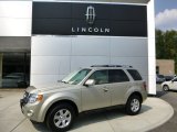 2012 Ford Escape Limited V6 4WD