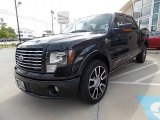 2010 Ford F150 Harley-Davidson SuperCrew Front 3/4 View