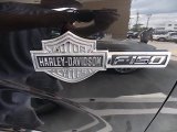 2010 Ford F150 Harley-Davidson SuperCrew Marks and Logos