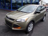 Ginger Ale Ford Escape in 2014