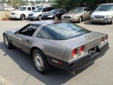 1987 Chevrolet Corvette Silver Beige Metallic