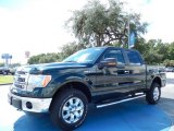 2013 Green Gem Metallic Ford F150 XLT SuperCrew 4x4 #85642427