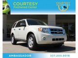 2012 White Suede Ford Escape XLT 4WD #85642832
