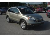 2007 Borrego Beige Metallic Honda CR-V EX-L 4WD #85642899