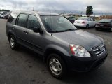 Silver Moss Metallic Honda CR-V in 2005