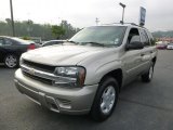 2002 Light Pewter Metallic Chevrolet TrailBlazer LS 4x4 #85698371