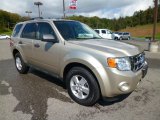 2010 Gold Leaf Metallic Ford Escape XLT 4WD #85744923