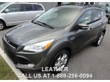 2013 Sterling Gray Metallic Ford Escape SEL 1.6L EcoBoost 4WD #85777728
