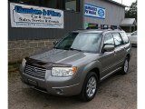 2006 Steel Gray Metallic Subaru Forester 2.5 X Premium #85777619