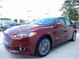 Sunset Ford Fusion in 2014
