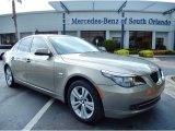 2010 Platinum Bronze Metallic BMW 5 Series 528i xDrive Sedan #85854031