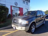 2007 Carbon Metallic Ford Expedition Eddie Bauer 4x4 #85854297