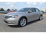 Tungsten Silver Metallic Volkswagen Passat in 2014