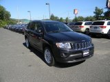 Brilliant Black Crystal Pearl Jeep Compass in 2011