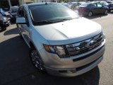 Ingot Silver Metallic Ford Edge in 2010
