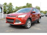 2014 Sunset Ford Escape SE 1.6L EcoBoost #85907701