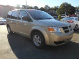 2010 Dodge Grand Caravan SE Hero