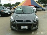 2013 Sterling Gray Metallic Ford Escape SEL 1.6L EcoBoost #85961401