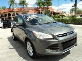 2013 Sterling Gray Metallic Ford Escape SEL 2.0L EcoBoost #86008179