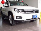 2014 Candy White Volkswagen Tiguan SEL #86037269