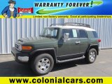 2010 Army Green Toyota FJ Cruiser 4WD #86158768