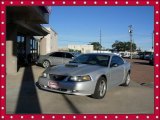 2004 Silver Metallic Ford Mustang GT Coupe #86158464