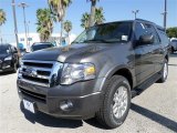 2014 Sterling Gray Ford Expedition XLT #86206684