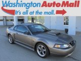 2001 Mineral Grey Metallic Ford Mustang GT Coupe #86206793