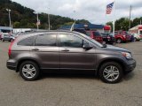 2010 Urban Titanium Metallic Honda CR-V EX-L AWD #86283728