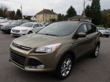 2014 Ginger Ale Ford Escape SE 2.0L EcoBoost 4WD #86283989