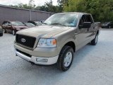 2004 Ford F150 XLT SuperCrew 4x4 Front 3/4 View
