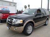 Kodiak Brown Ford Expedition in 2014