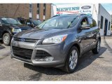 2013 Sterling Gray Metallic Ford Escape SEL 1.6L EcoBoost #86401908