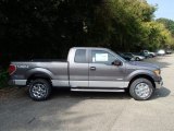 2013 Sterling Gray Metallic Ford F150 XLT SuperCab 4x4 #86401386