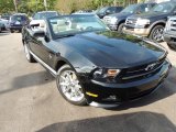 2011 Ebony Black Ford Mustang V6 Premium Convertible #86401730