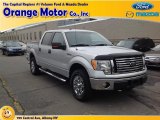 2010 Ingot Silver Metallic Ford F150 XLT SuperCrew 4x4 #86450964