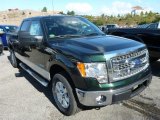 2013 Ford F150 XLT SuperCrew 4x4