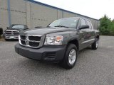 Mineral Gray Metallic Dodge Dakota in 2008