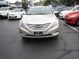 2011 Camel Pearl Hyundai Sonata Limited #86616101