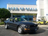 2008 Alloy Metallic Ford Mustang V6 Premium Coupe #863129