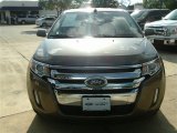 2013 Mineral Gray Metallic Ford Edge Limited #86779945