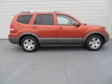 2009 Kia Borrego EX V8 Exterior