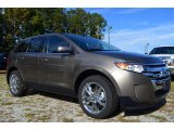 2013 Mineral Gray Metallic Ford Edge Limited #86848871