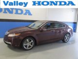 2010 Basque Red Pearl Acura TL 3.5 Technology #86892066