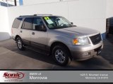 2003 Silver Birch Metallic Ford Expedition XLT #86892409