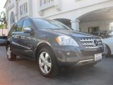 2010 Mercedes-Benz ML 350