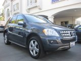 2010 Steel Grey Metallic Mercedes-Benz ML 350 #86980687