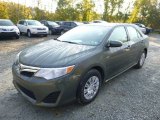 Cypress Pearl Toyota Camry in 2014