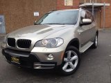 2008 BMW X5 3.0si