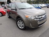 2013 Mineral Gray Metallic Ford Edge Limited #87029033